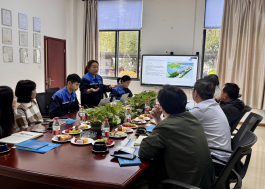 Colaboraci&oacute;n1 