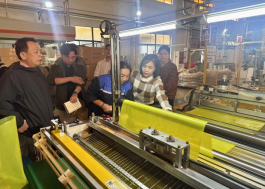 Colaboraci&oacute;n5 