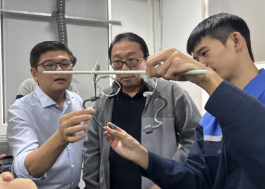 Colaboraci&oacute;n8